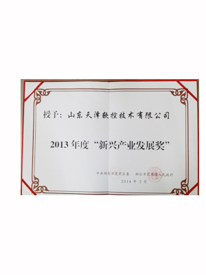 EMCC-2013年新兴产业发展奖 2014年2月