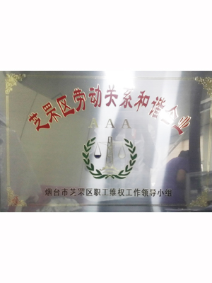 EMCC-劳动关系和谐AAA级企业